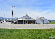 At Floricultura in Salinas. At this location, Beekenkamp and Monrovia are showcasing their varieties.